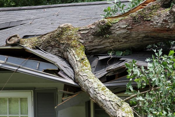 Storm Remediation in Arlington