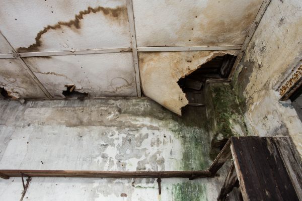 Water Damage Service in Arlington