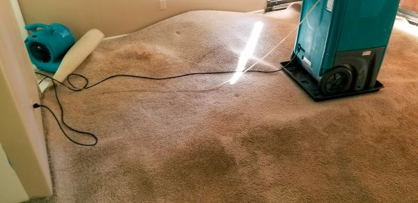 Flood Damage Cleanup in Arlington