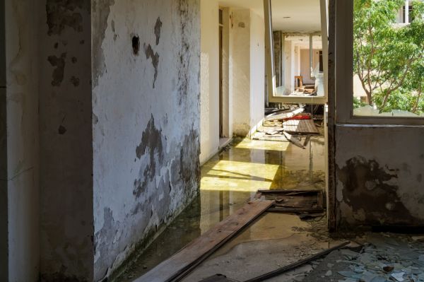 Water Removal Service in Arlington