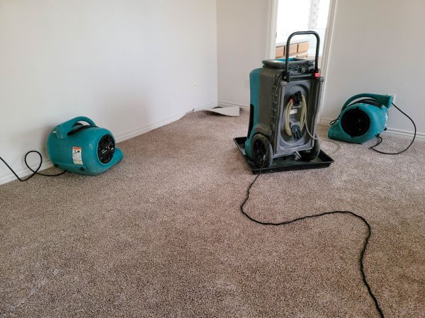 Water Damage Repair in Arlington