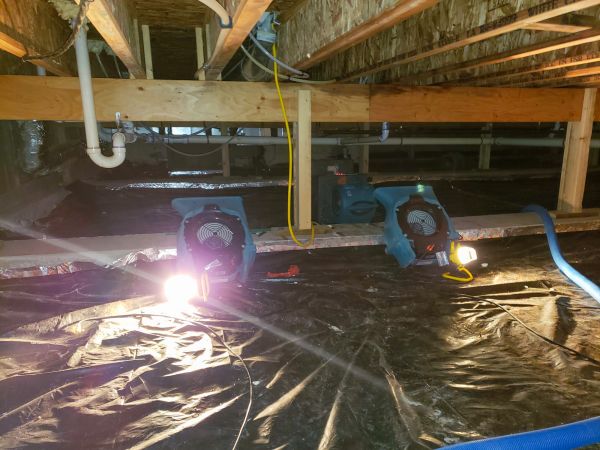 Crawlspace Water Removal in Arlington