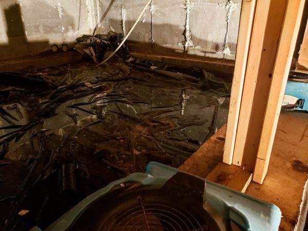 Crawlspace Water Cleanup in Arlington