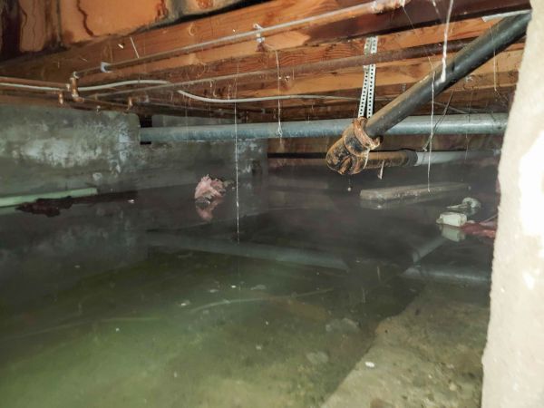 Crawlspace Water Restoration in Arlington